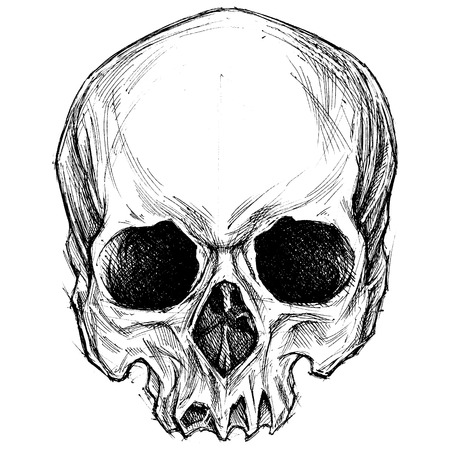 Dibujo Calavera Ilustraciones Vectoriales, Clip Art Vectorizado ... Dibujo Calavera Ilustraciones Vectoriales, Clip Art Vectorizado ...