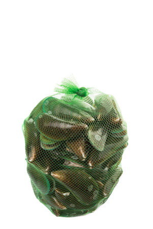 28850590-a-group-of-mussel-in-a-green-ne