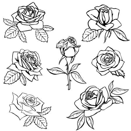 White Rose Stock Vector Illustration And Royalty Free White Rose Clipart Rose Sketch Rose Outline Tattoo Rose Outline