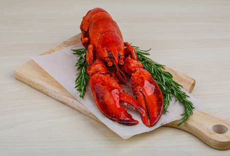 Картинки по запросу фото Омар