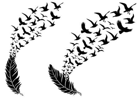 45223989-feathers-with-free-flying-birds