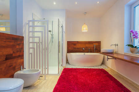 Modern Bathroom With Red Cozy Carpet Royalty Free Stock Photo ...