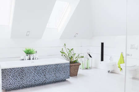 Mosaico bagno foto royalty free, immagini, immagini e archivi ...