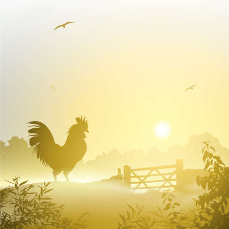 15284098-un-paysage-avec-misty-morning-cockerel-coq.jpg