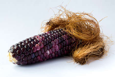 21979887-black-corn-shape-of-a-penis.jpg