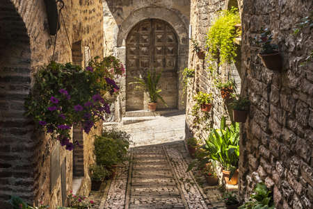 Spello (Perugia, Umbría, Italia) - Callejón típico con macetas y flores Foto de archivo - 18535775