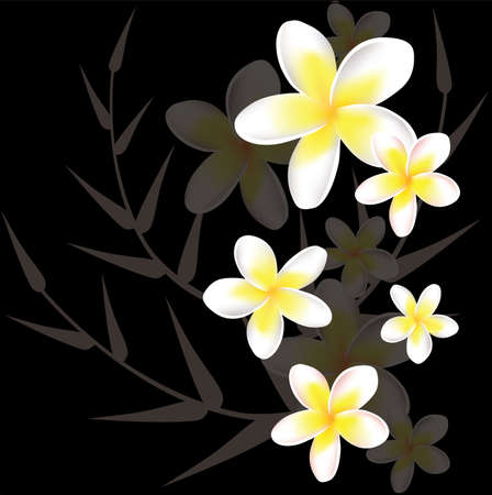 Single Plumeria Vector