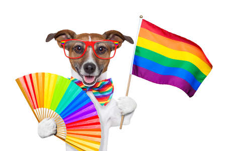 19405289-perro-del-orgullo-gay-ondeando-una-bandera-del-arco-iris.jpg