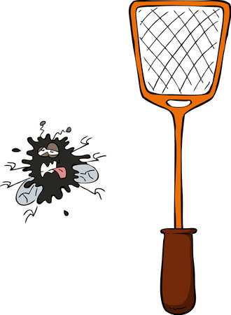 15059855-mouche-aplatie-avec-une-tapette