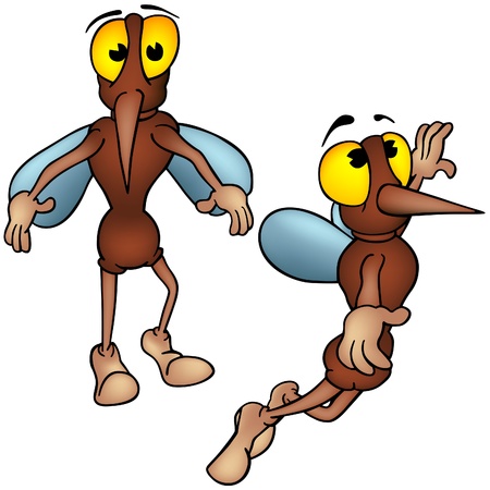 bloodsucking insect: Mosquito 2_3 - cartoon illustration as vector Illustration