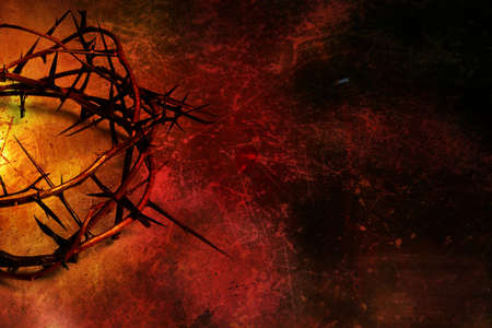 �â??�à thorn imágenes de archivo, vectores, �â??�à thorn fotos ... Corono de espinas