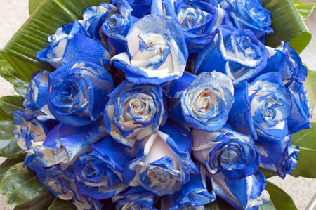 Un bouquet de roses bleues Banque d'images - 12560180