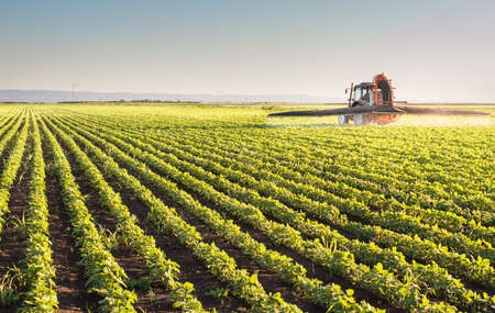 Afficher l'image d'origine