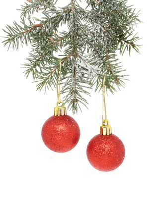 Snowy Christmas Tree Branch