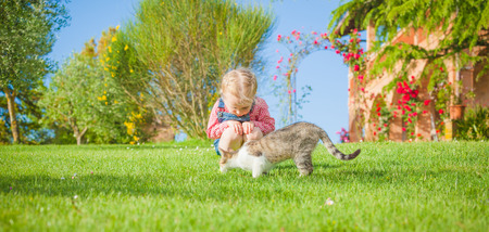 Juegos de la niña con su gato en la hierba. Foto de archivo. Juegos de la niña con su gato en la hierba. Foto de archivo.