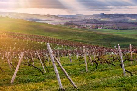 http://us.123rf.com/450wm/jaropienza/jaropienza1511/jaropienza151100048/49143094-czech-countryside-south-moravia.jpg?ver=6