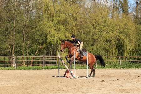 14360706-young-woman-with-a-brown-horse-jump-an-obstacle.jpg