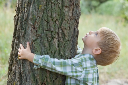 cuidado de la naturaleza - muchachito abrazar un árbol
 Foto de archivo - 3330111
