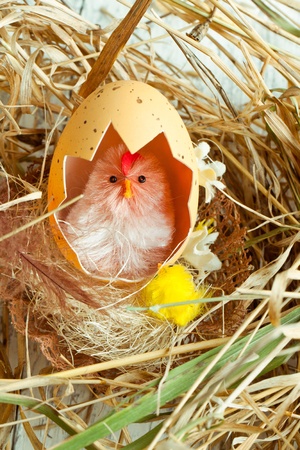 12009403-poulet-bebe-jouet-avec-coquille-dans-le-nid.jpg