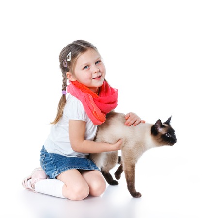 Niña se divierte jugando con el gato. Foto de archivo Niña se divierte jugando con el gato. Foto de archivo