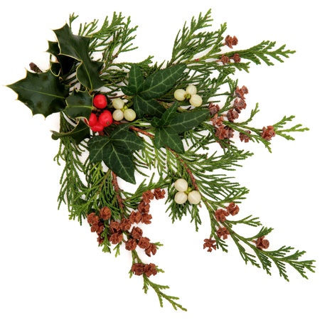 Winter und Weihnachten Flora und Fauna mit Stechpalme, Efeu, Mistel mit Beeren Clustern und Zeder Blatt Sprigs mit Tannenzapfen auf weißem Hintergrund Stockfoto Winter und Weihnachten Flora und Fauna mit Stechpalme, Efeu, Mistel mit Beeren Clustern und Zeder Blatt Sprigs mit Tannenzapfen auf weißem Hintergrund Stockfoto - 15476598
