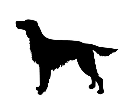 38017627-perro-vector-silueta-negro-aislado-setter-irland-s.jpg?ver=6
