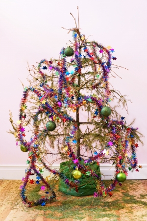 16984150-ende-der-ferien-oder-andere-konzept-dead-fir-weihnachtsbaum-mit-vertrocknete-nadeln-auf-der-ganzen-h.jpg