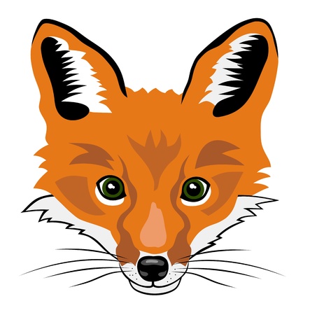 13992082-illustration-de-style-bande-dessinee-renard-tete.jpg