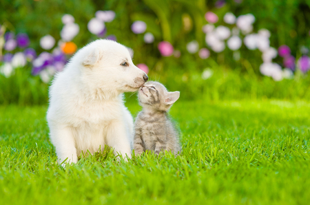 Verliebte tiere lizenzfreie vektorgrafiken kaufen: 123rf Verliebte mit baby