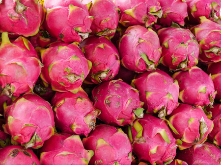 Resultado de imagen para fotos de muchas pitaya