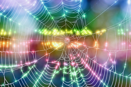 Près de couleurs lumineuses sur une toile d'araignée couverte de rosée Banque d'images - 28274867