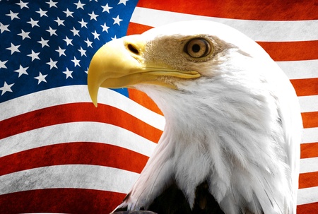 10300106-aigle-au-premier-plan-avec-le-drapeau-americain-floue.jpg