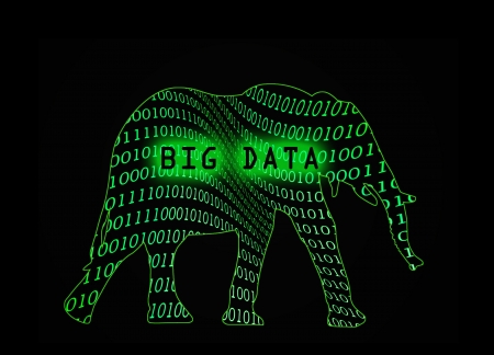 16917226-binary-code-flowing-in-an-eleph