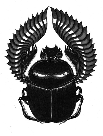 Scarabe Banque dimages - 20977195