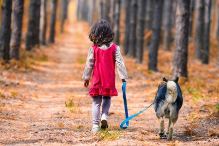 Niña con su perro, recorre el camino. Foto de archivo. Niña con su perro, recorre el camino. Foto de archivo.