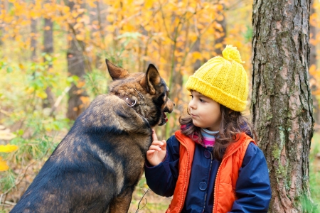 Niña con el perro grande en el bosque en otoño. Foto de archivo. Niña con el perro grande en el bosque en otoño. Foto de archivo.