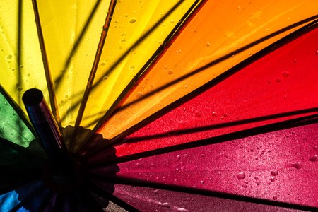 multi colored colorful umbrella with all colors of the rainbow