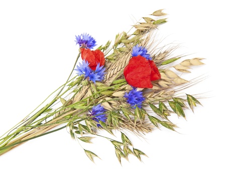 白の野生の猫じゃらし草の美しい秋の花束 の写真素材 画像素材 Image