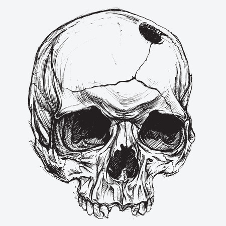 skull drawing stock photos royalty free skull drawing images