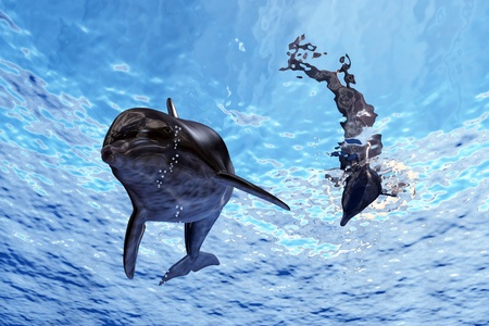 明るいブルーの綺麗な海の表面近くに泳ぐハシナガイルカはハワイのカウアイ島の海岸をオフします の写真素材 画像素材 Image 明るいブルーの綺麗な海の表面近くに泳ぐハシナガイルカはハワイのカウアイ島の海岸をオフします の写真素材 画像素材 Image