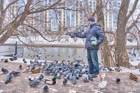 Happy senior asian man in a jacket, jeans, a knitted hat and a protective mask feeds birds in a city park near the river in winter. doves are sitting on his hand.