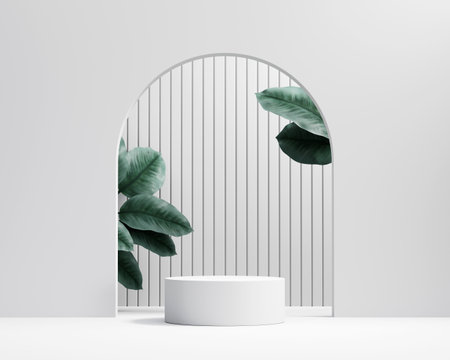 3d rendering platform podium with plant product presentation background