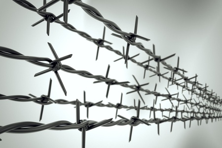 Barbed Wire Border Barbed Wire Border