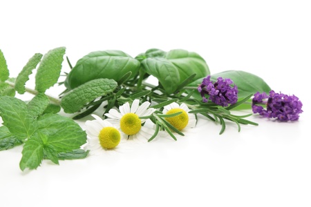 Mixed Herbs on white background
