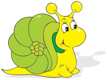 Snail