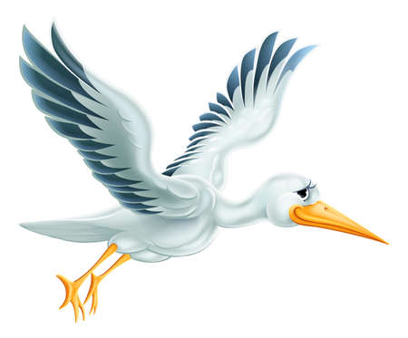 An illustration of a cute cartoon Stork bird character flying through the air Illustration