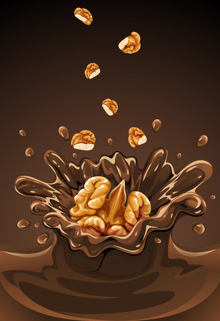 Walnut: walnut fruit falling into the chocolate with splash - vector illustration