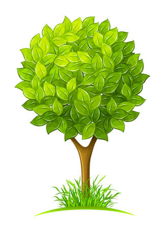 Tree with green leaves illustration isolated on white background Tree with green leaves illustration isolated on white background