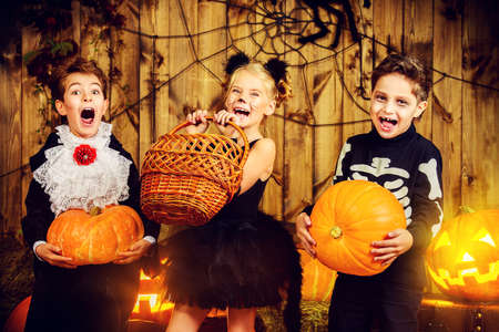 Image result for halloween stock photos