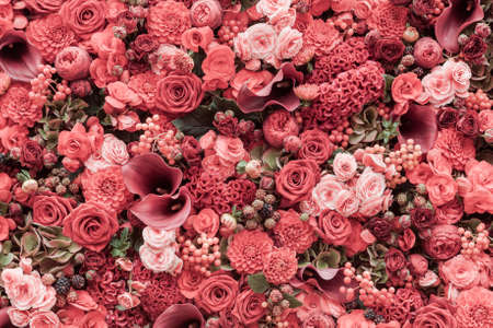 Abstract background of flowers Close-up.